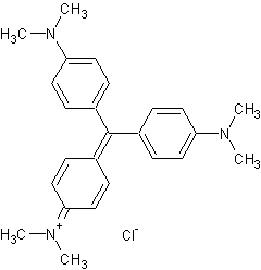 ��������������� ����������