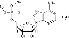 ������ ��������-5'-���������� ����������
