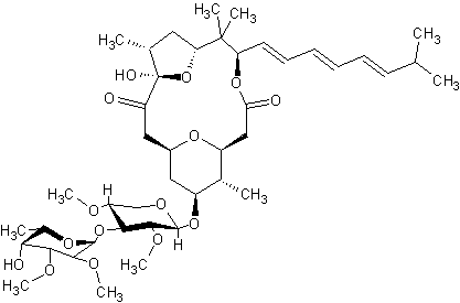 �������������� A