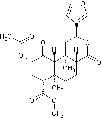 ����������� �