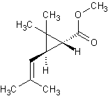 �����-������������� ������� ��������� ����